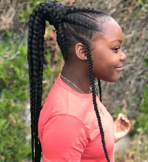 Black Braided Hairstyles 4.jpg