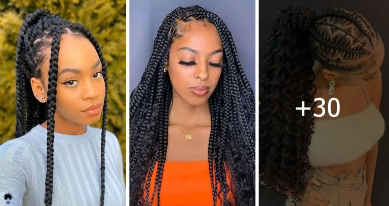 30+ Revamp Your Look with These New Braiding Hairstyles